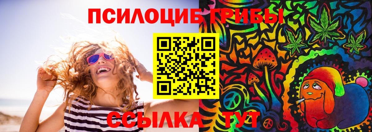 Ишим  Псилоцибиновые грибы MAGIC MUSHROOMS  Вход с VPN 